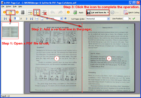online double pdf pages separate