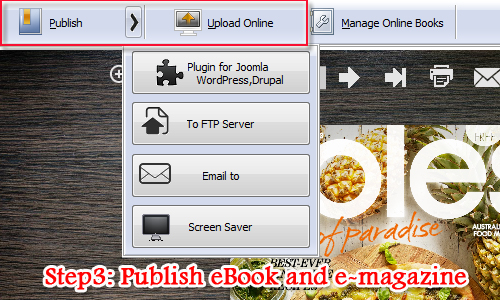 Convert PDF to Page Turning eBook