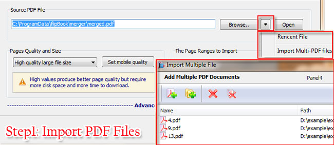 convert pdf flip book