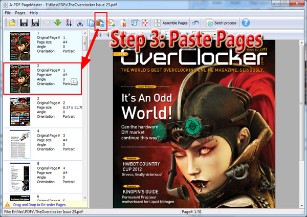 paste PDF pages