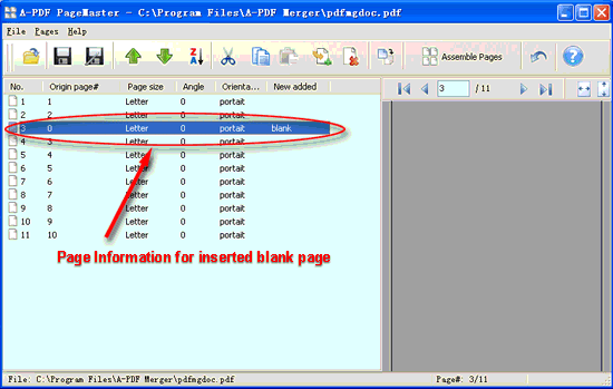 screenshot of A-PDF Page Master