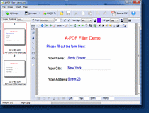 small screenshot of A-PDF Form Filler