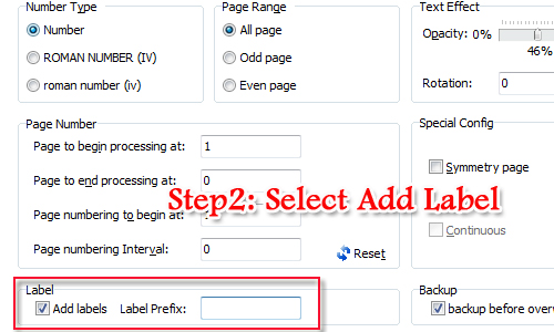 add label prefix before page number