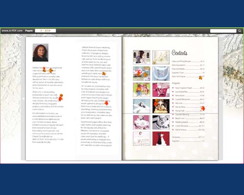 a-pdf to flipbook pro edit pages toolbar