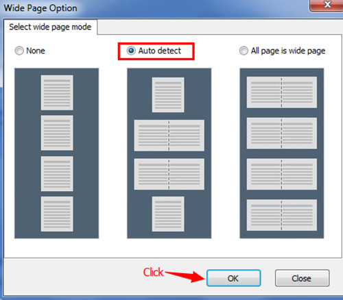 detect wide page of PDF files and convert it to Flash Flipbook2