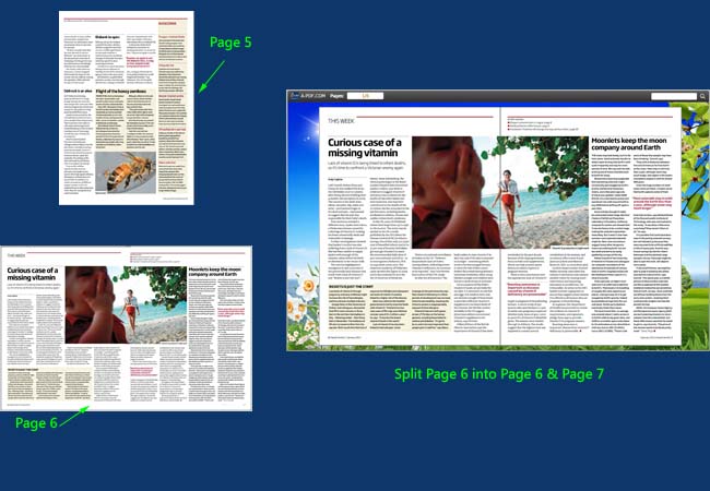 detect wide page feature to split landscape page into two portrait pages