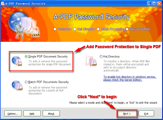 screenshot of A-PDF Password Security