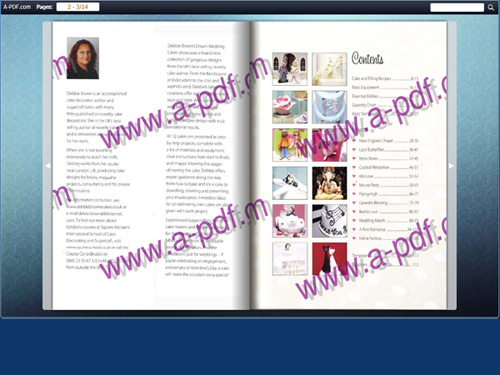 add watermark for the flip book to show identity