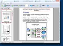 small screenshot of A-PDF Flip Word 
